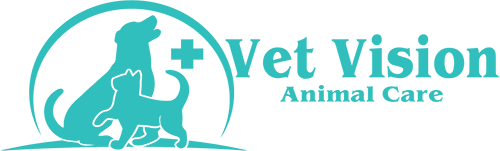 Vet Vision