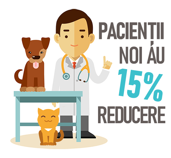 Medic veterinar cu un câine și o pisică - Pacienții noi au 15% reducere