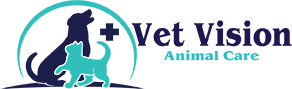 Vet Vision